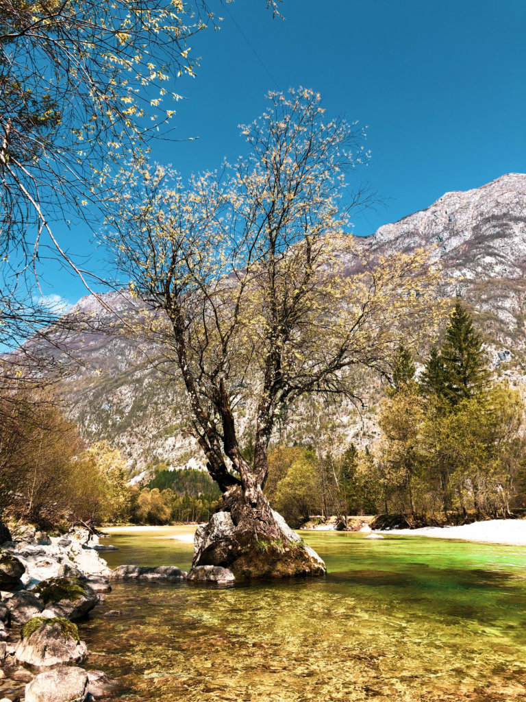 Soča Trail